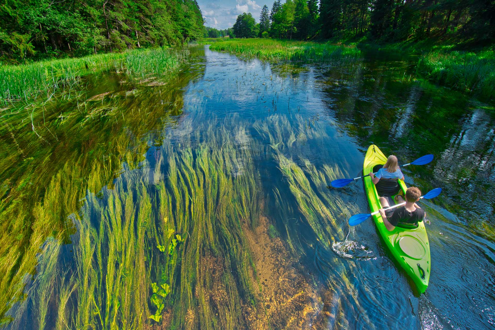 Czarna Hancza river kayaking PolandSHIOK polish festival in SIngapore