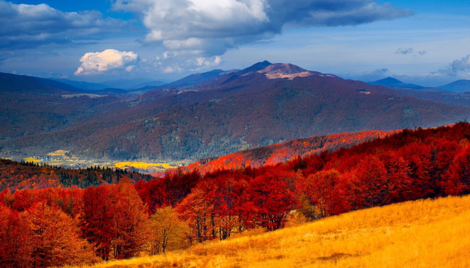 Bieszczady 