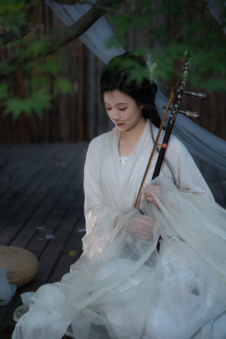 Lu Shujie on Er Hu